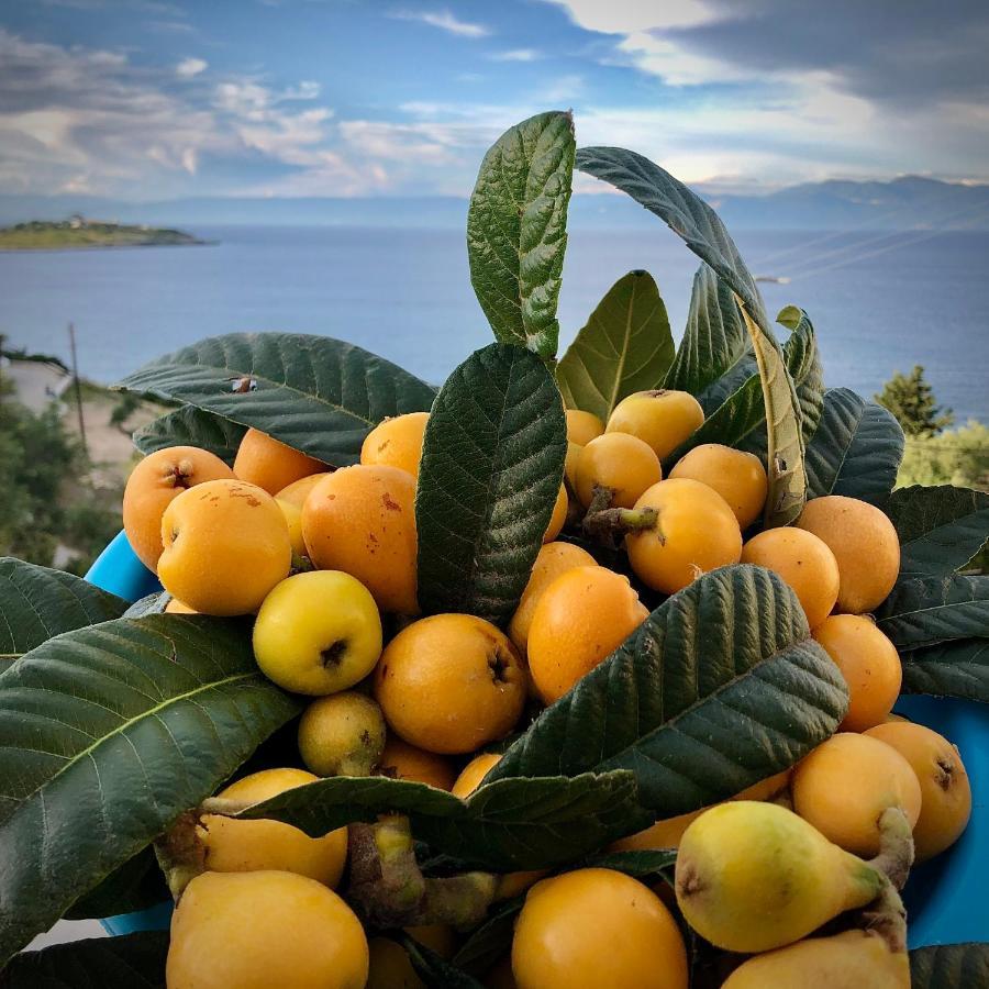 Villa Avgerini Paxos Гайос Екстериор снимка