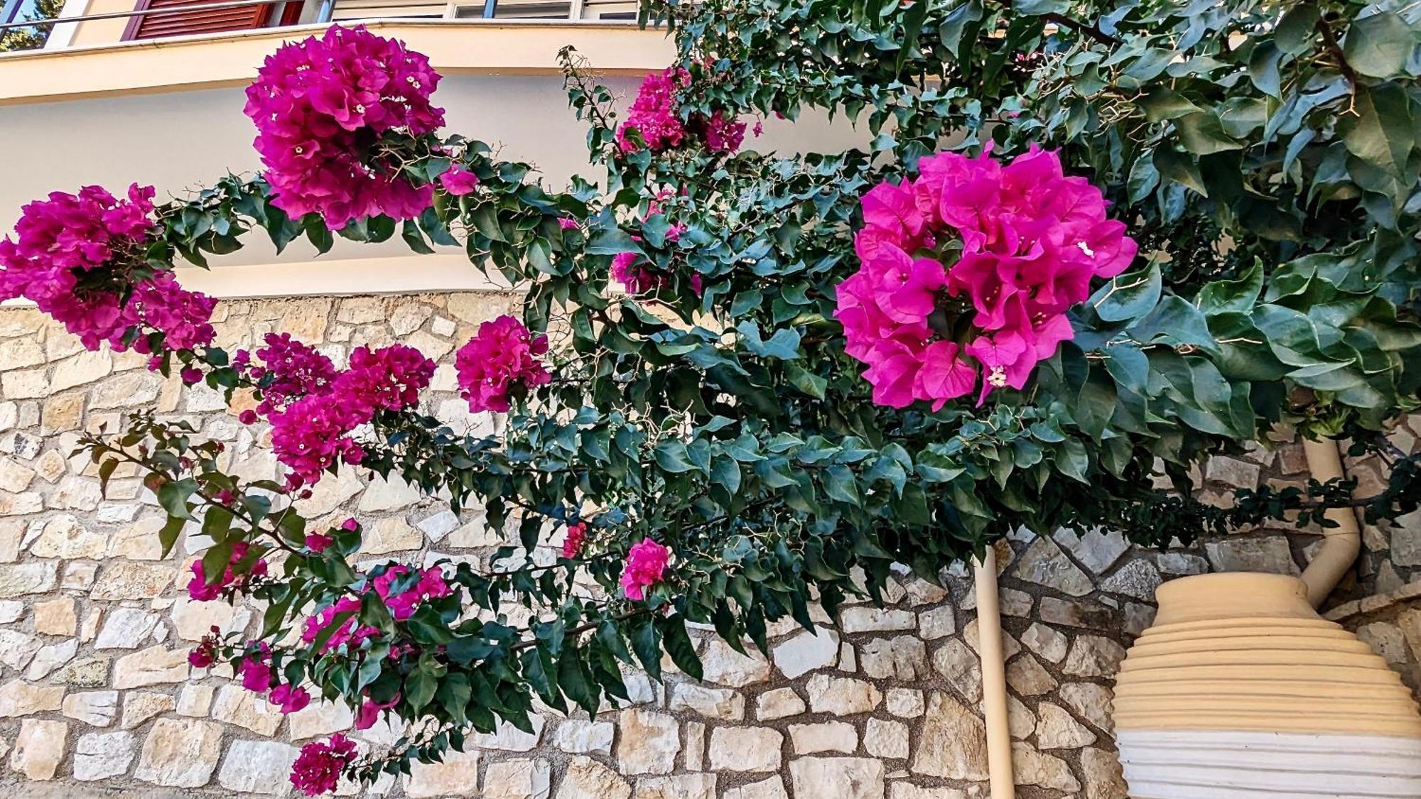Villa Avgerini Paxos Гайос Екстериор снимка